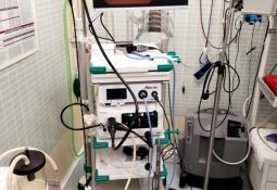 endoscopia servicios clinica veterinaria